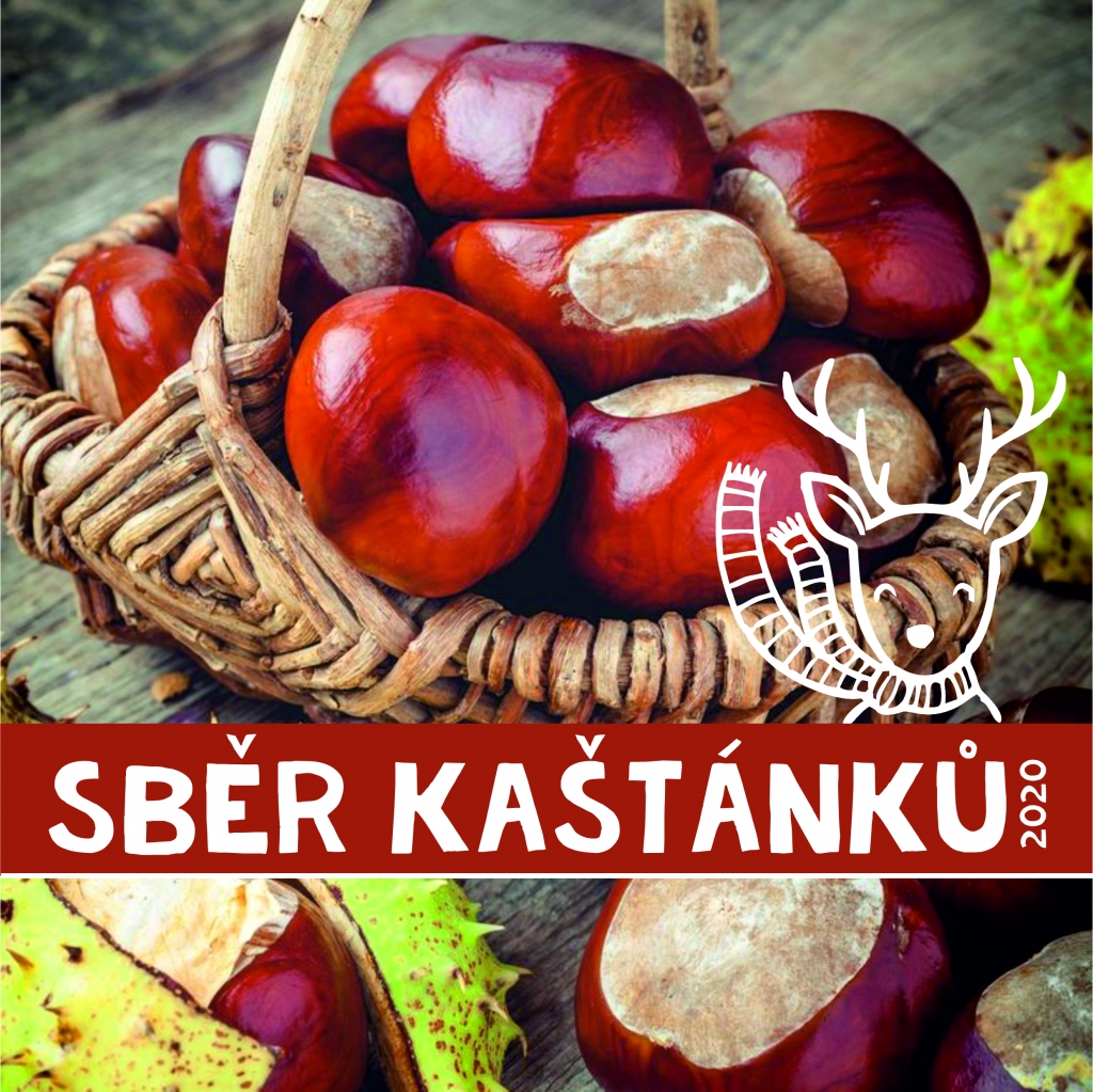 SBĚR KAŠTÁNKŮ 2020