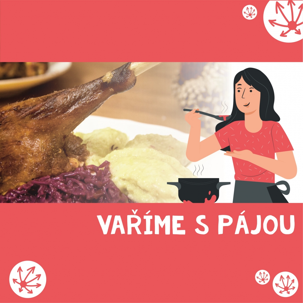 VAŘÍME S PÁJOU