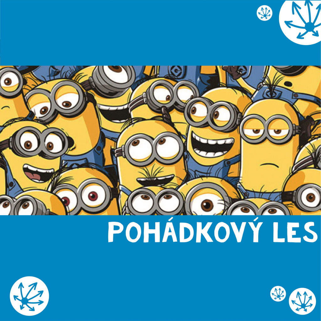 POHÁDKOVÝ LES - ANIMÁKY