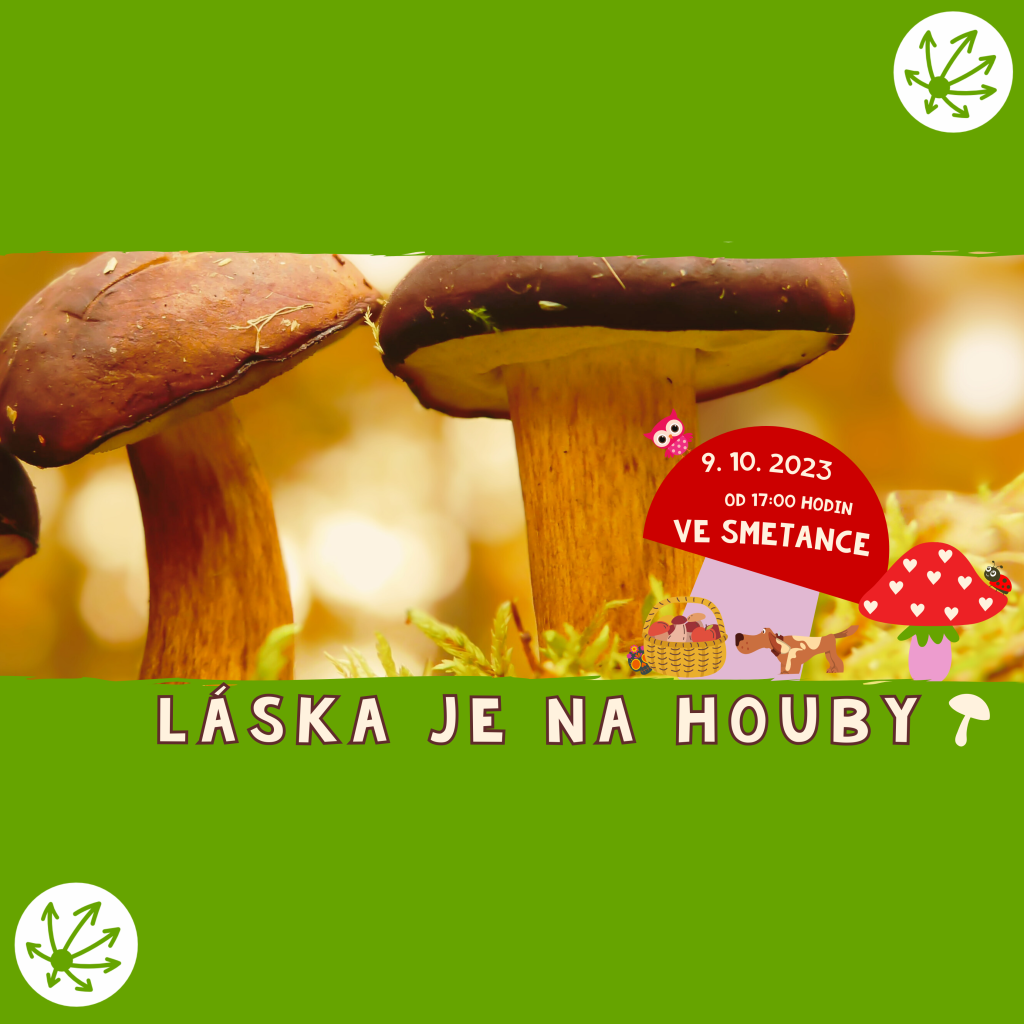 LÁSKA JE NA HOUBY