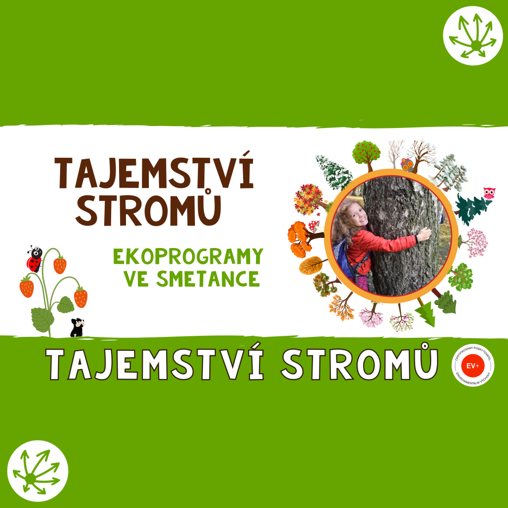 TAJEMSTVÍ STROMŮ