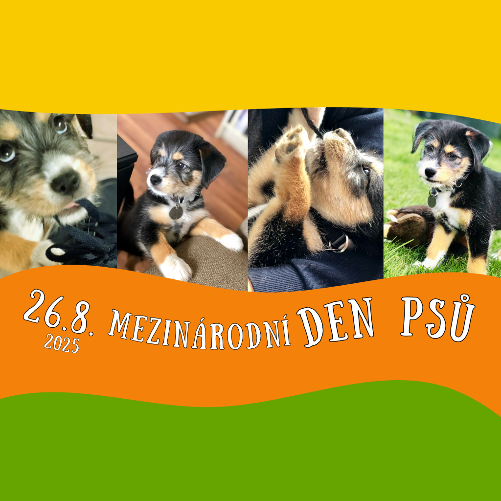 MEZINÁRODNÍ DEN PSŮ