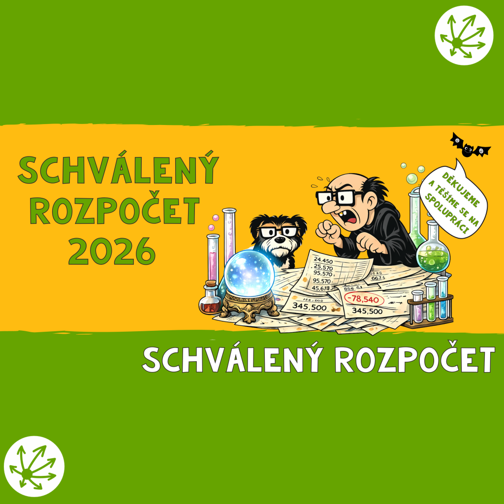 SCHVÁLENÝ ROZPOČET 2026