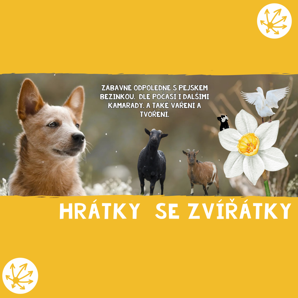 HRÁTKY SE ZVÍŘÁTKY
