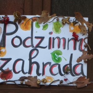 PA110299.jpg