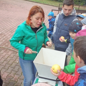 PA110308.jpg