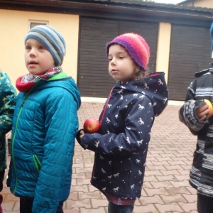 PA110313.jpg