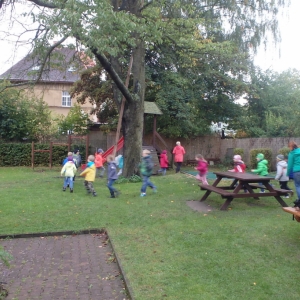 PA130431.jpg