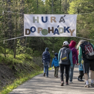 DDM Pohádkový les 2019 (5).jpg