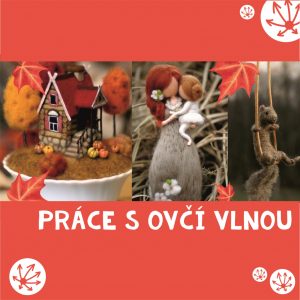 KROUŽEK PRÁCE S OVČÍ VLNOU