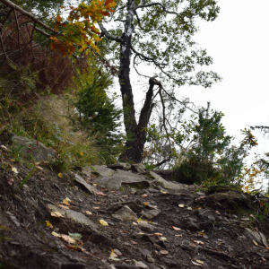 DSC_6907.jpg