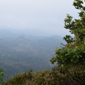DSC_6910.jpg