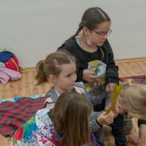 DEN_STROMU_2021_00003.jpg