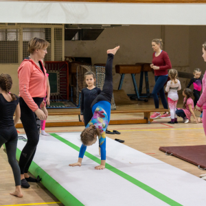 DDM Gymnastika 2023_24.jpg