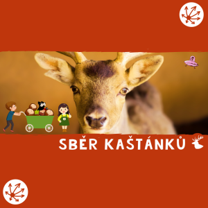 SBĚR KAŠTÁNKŮ 2023