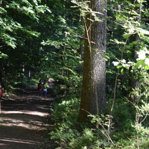 FOTKY_00026.jpg