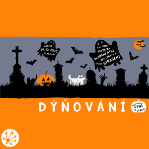 DÝŇOVÁNÍ