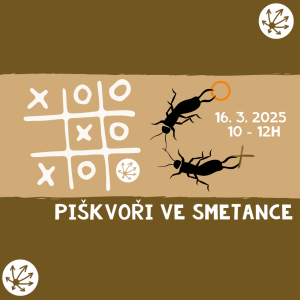 PIŠKVOŘI VE SMETANCE - Turnaj
