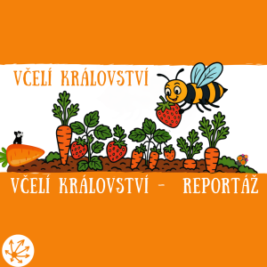 VČELÍ KRÁLOVSTVÍ - ZPĚTNÁ VAZBA (Minireportáž)