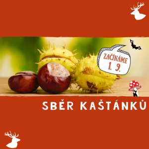 SBĚR KAŠTÁNKŮ 2025