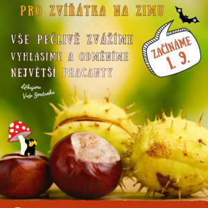 KAŠTANY_HLAVNÍ_2025_UPGRADE_LETÁK (2).png