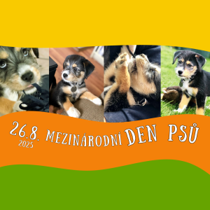 MEZINÁRODNÍ DEN PSŮ