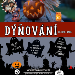 DYŇOVANI_220_FINAL 2.png