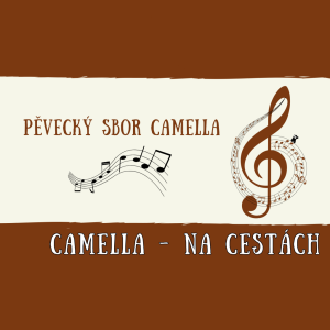 CAMELLA NA CESTÁCH