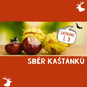 SBĚR KAŠTÁNKŮ