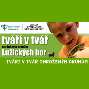 TVÁŘÍ V TVÁŘ OHROŽENÝM DRUHŮM - Výstava