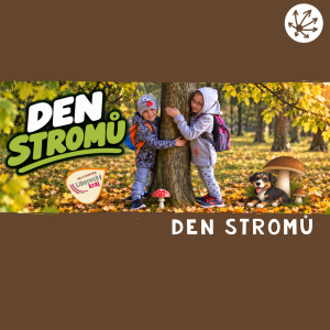 DEN STROMŮ